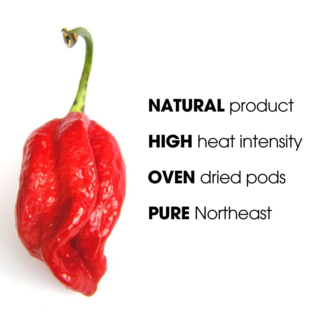 Bhut Jolokia Ghost Pepper Powder | King Chilli - Image 4