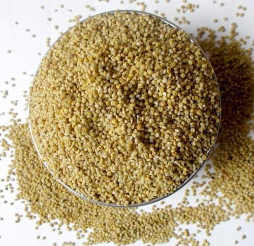 Browntop Millet - Image 3
