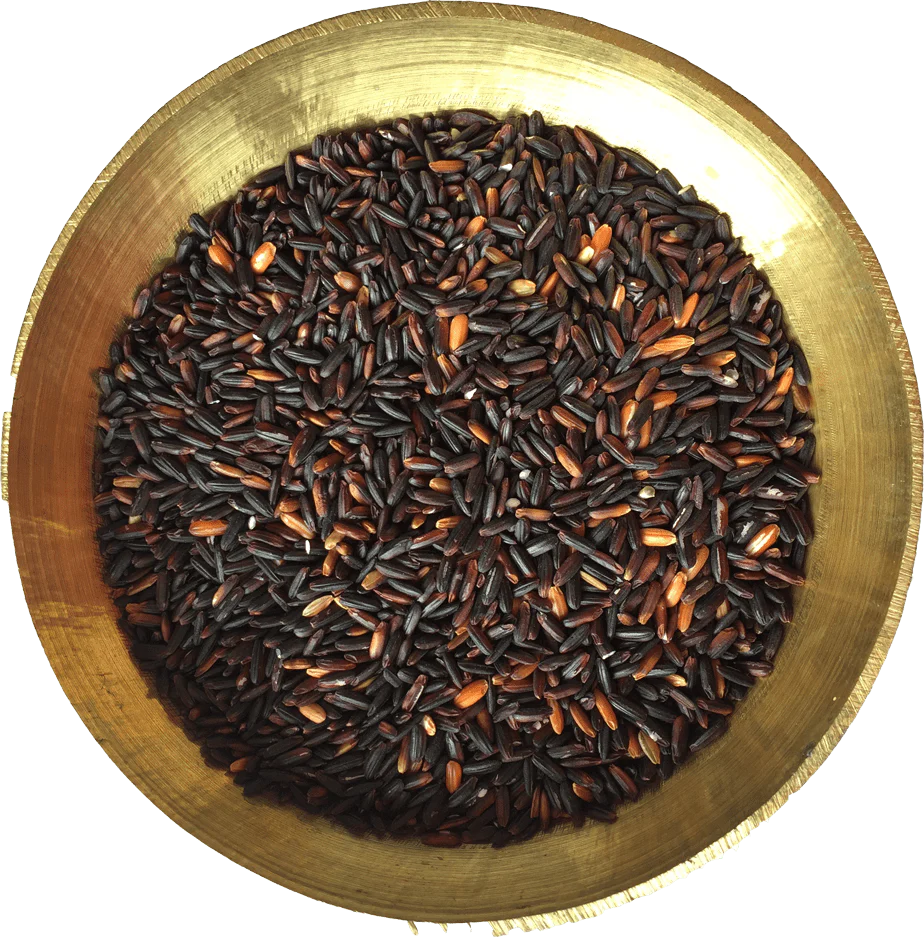 Black Rice, Chak hao - Image 5