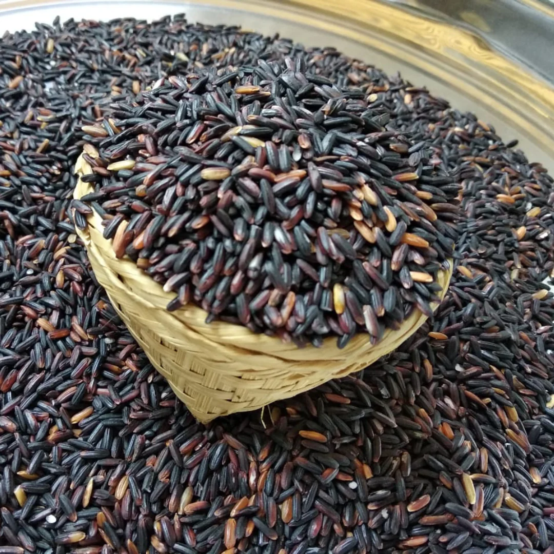 Black Rice, Chak hao - Image 6