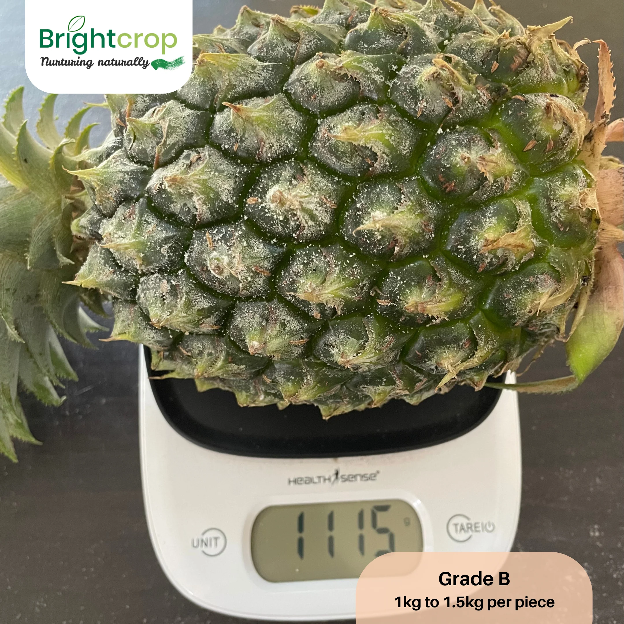 Fresh Pineapples - Image 14