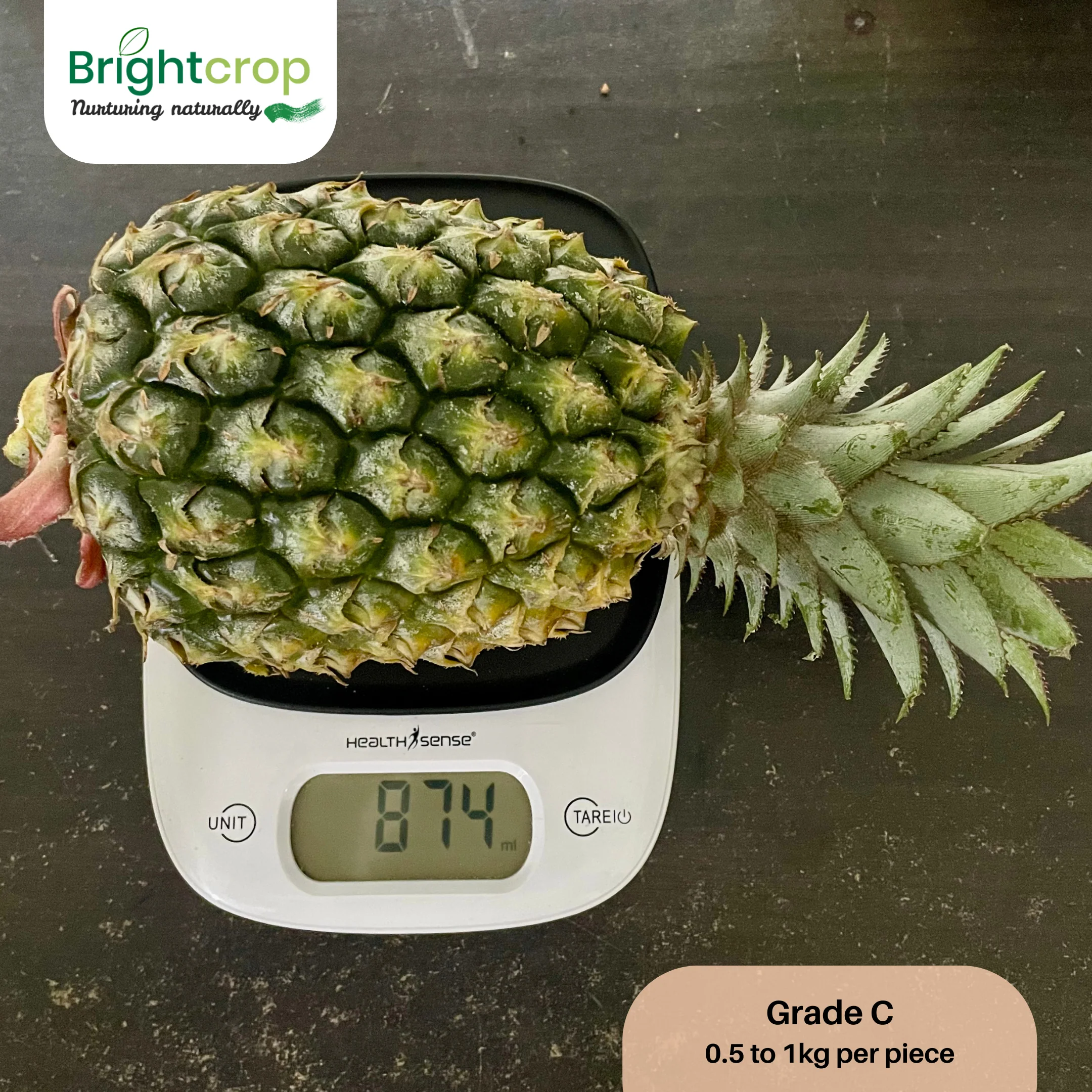 Fresh Pineapples - Image 15
