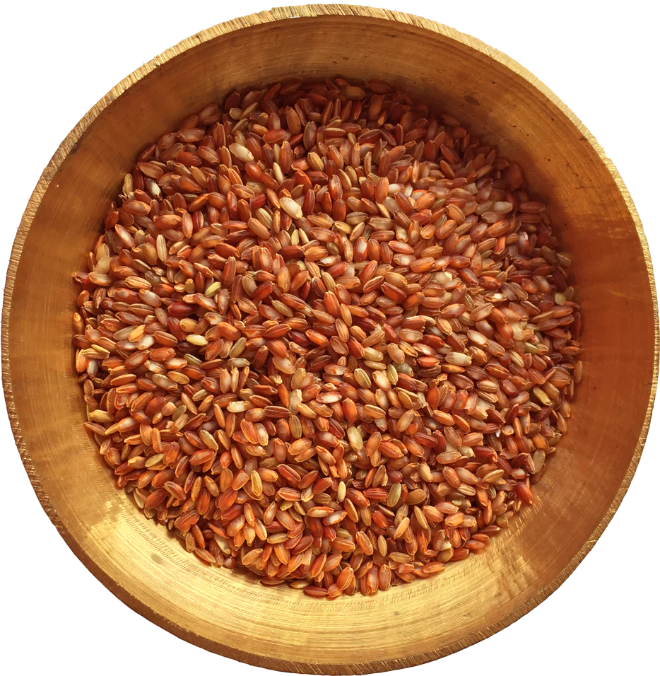 Red Rice, Himalayan - Image 8