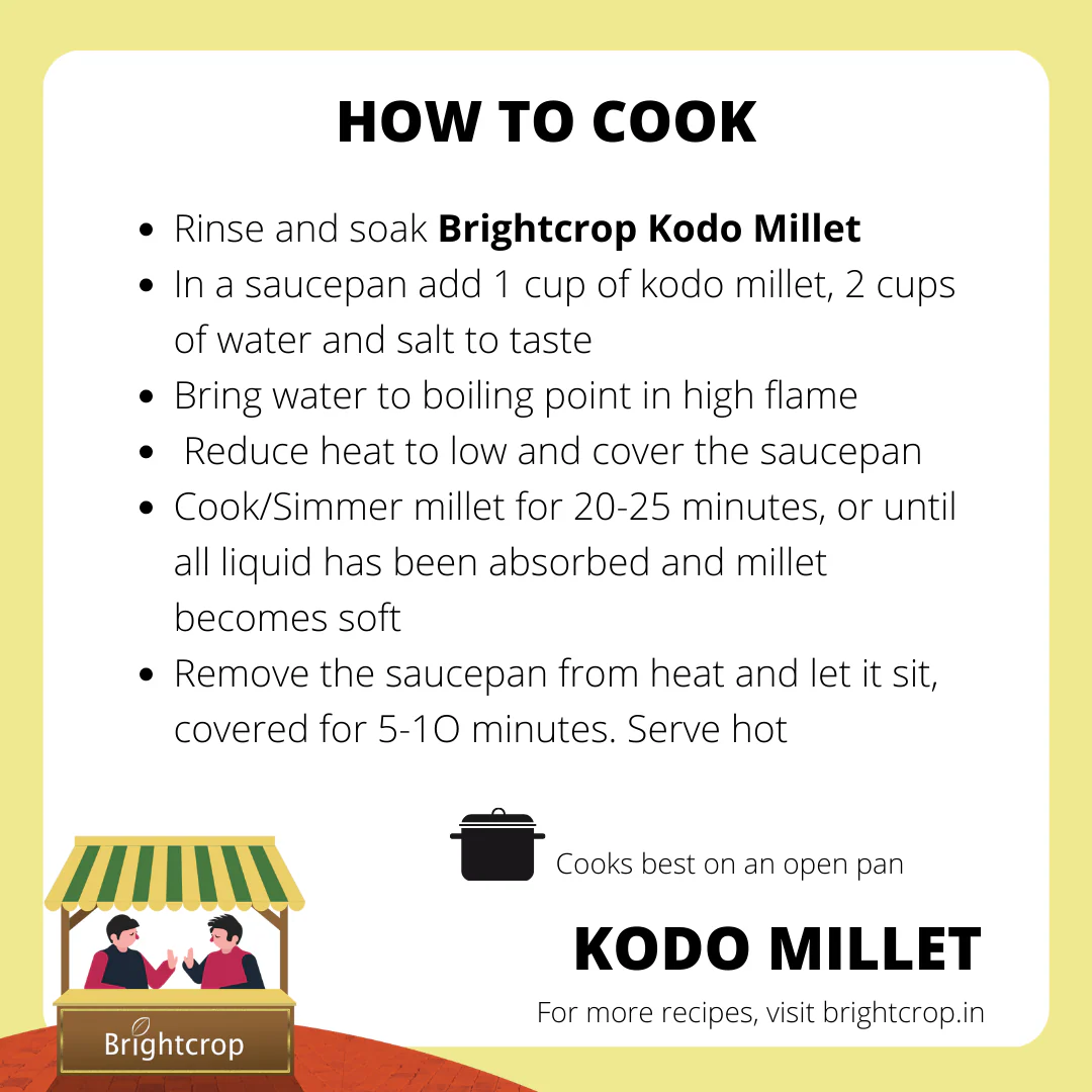 Kodo Millet, Kodon - Image 3