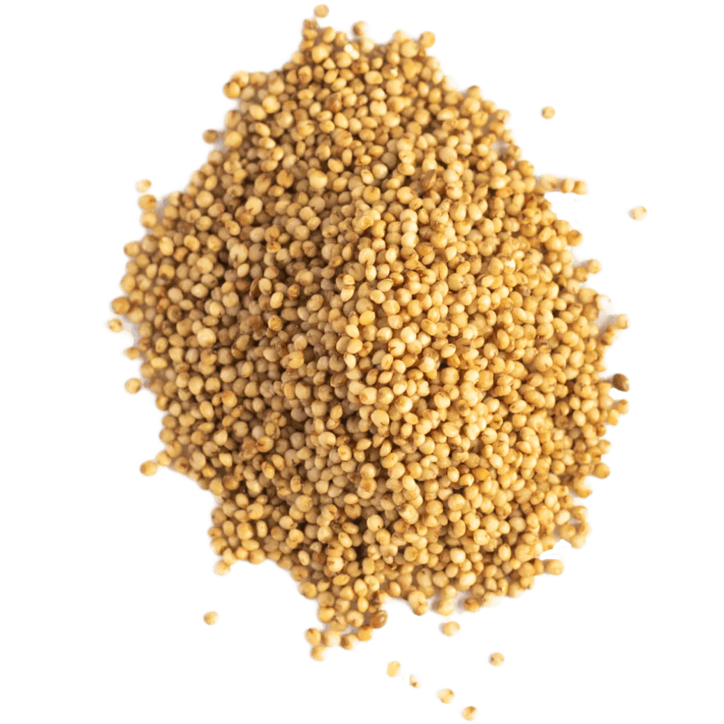 Kodo Millet, Kodon - Image 5
