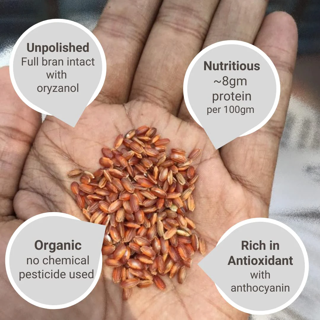 Red Rice | Himalayan (10 KG Pack) - Image 6